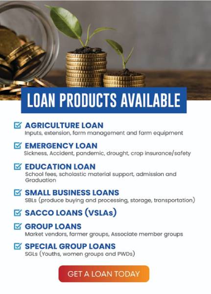 credit_loan
